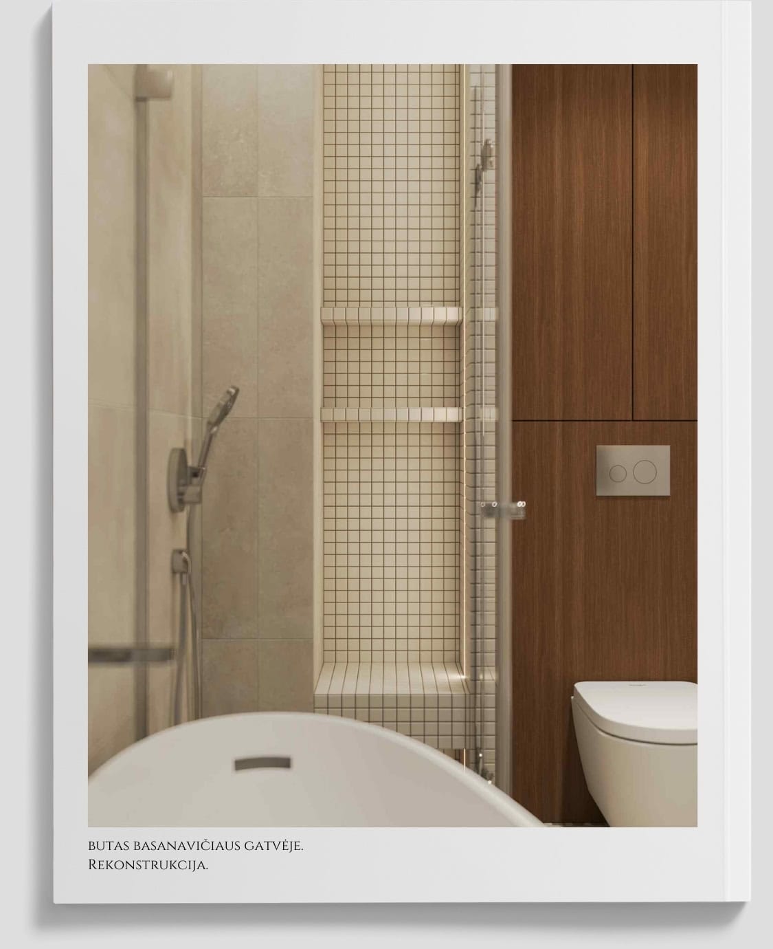 Vonios kambarys su dušo kabina, plytelių mozaika ir tualetu.